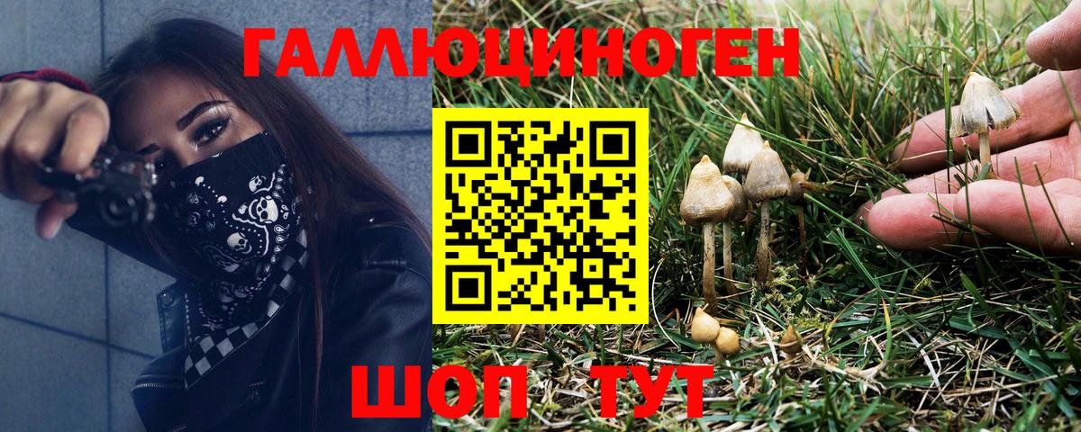 Псилоцибиновые грибы прущие грибы Самара