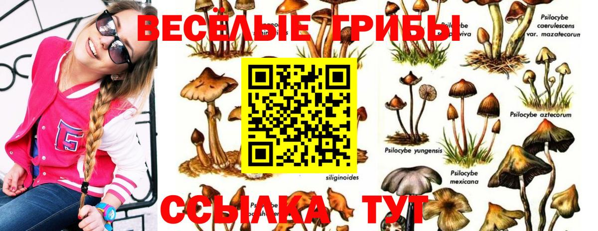 Псилоцибиновые грибы ЛСД  Вход с VPN  Самара 